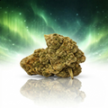 Amnesia 3G
