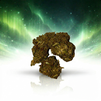Gelato Cream 3G