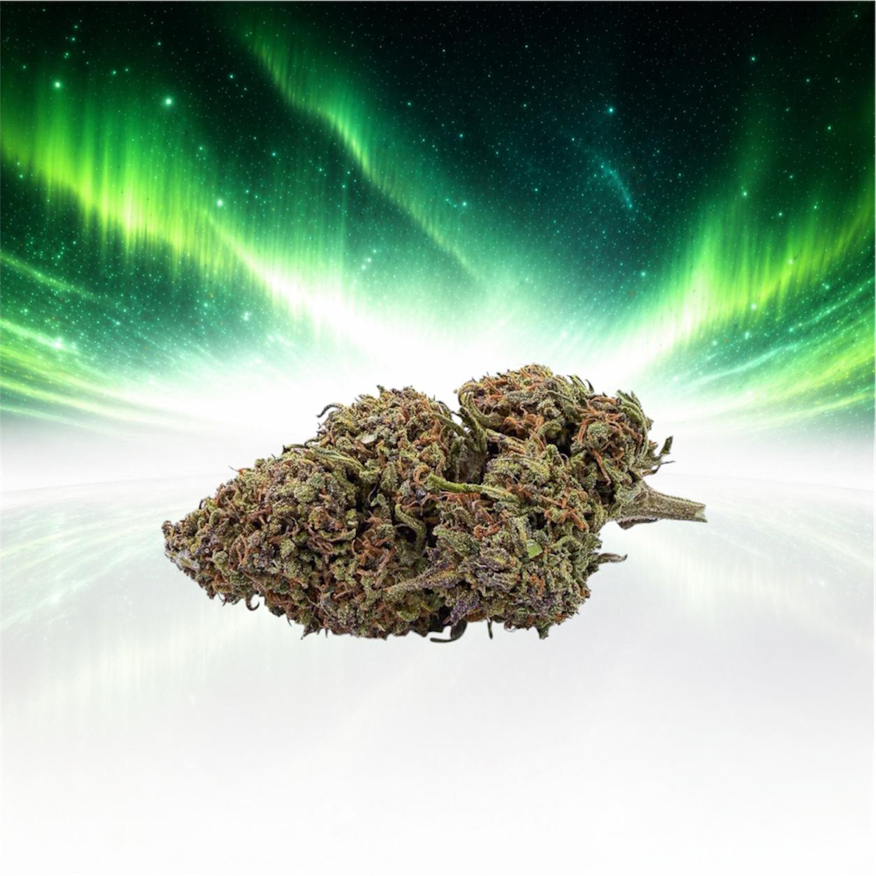 Pink Panther 3G